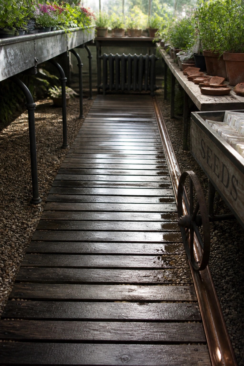 Wet wooden walkway between plant tables and seed cart in greenhouse