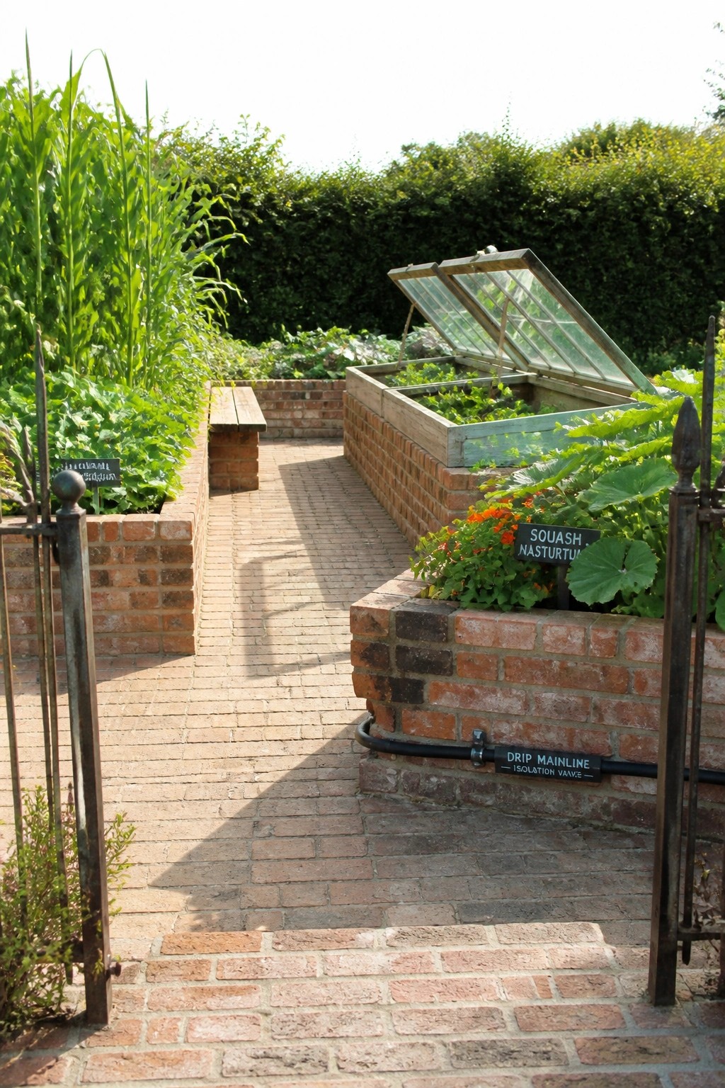 A garden scene with raised brick beds flanking a central brick path, including a glass cold frame structure and labeled plants.