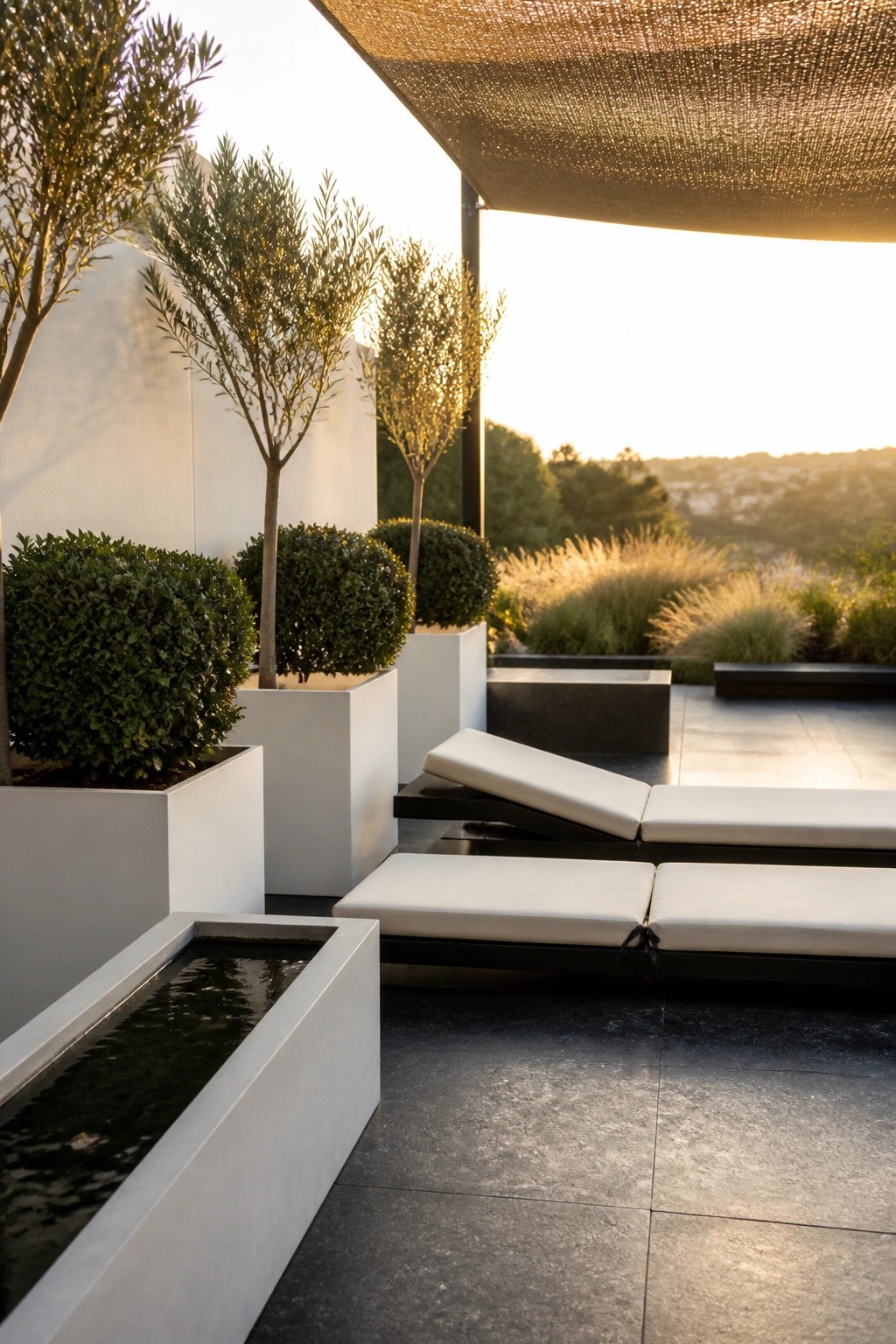 An outdoor patio with white rectangular planters holding trees and shrubs next to black lounge chairs with white cushions under a shade sail.