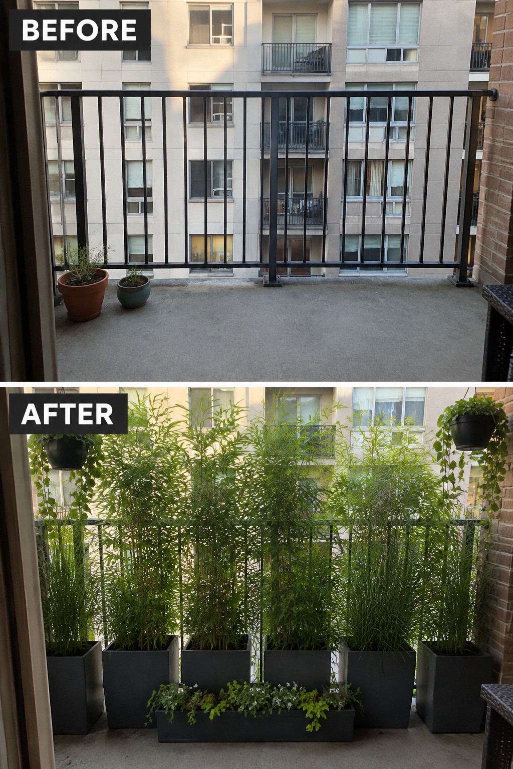 Before and after balcony views with added tall green plants in black planters.